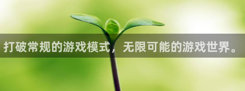 杏盛平台总代理