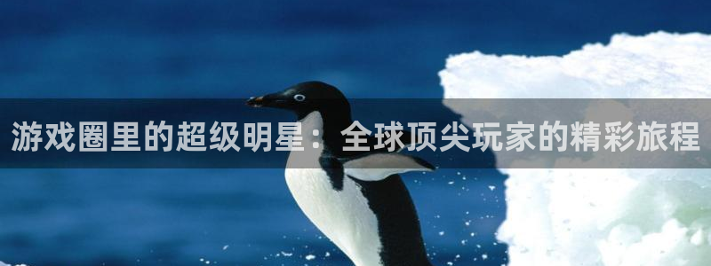 杏盛主管是谁：游戏圈里的超级明星：全球顶尖玩家的精彩旅程