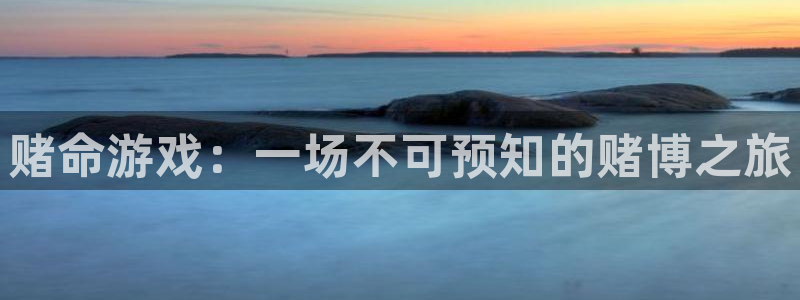 杏盛注册平台：赌命游戏：一场不可预知的赌博之旅