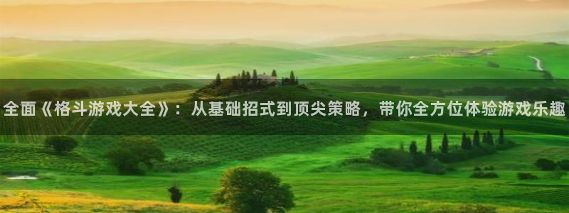 杏盛注册流程和入口：全面《格斗游戏大全》：从基础招式到顶尖策