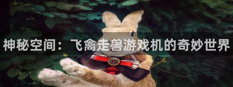 杏盛注册平台官方网站：神秘空间：飞禽走兽游戏机的奇妙世界