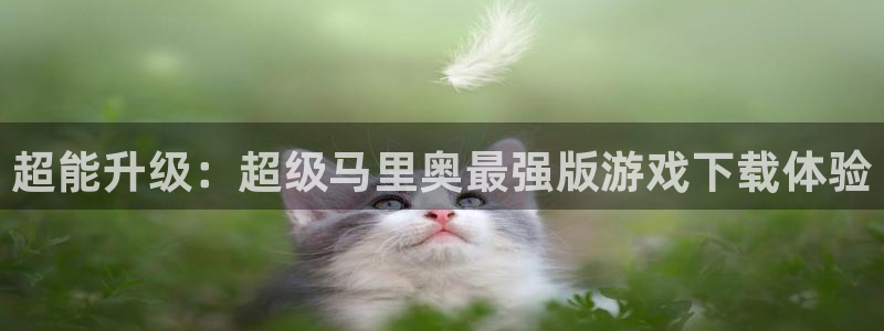 杏盛：超能升级：超级马里奥最强版游戏下载体验