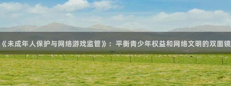 杏盛登录平台：《未成年人保护与网络游戏监管》：平衡青少年权益