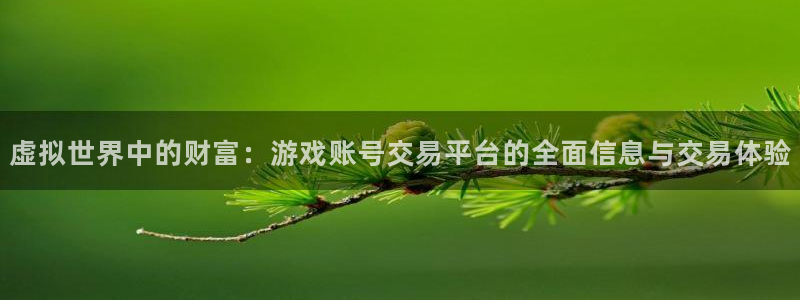 杏盛注册平台官方网站：虚拟世界中的财富：游戏账号交易平台的全