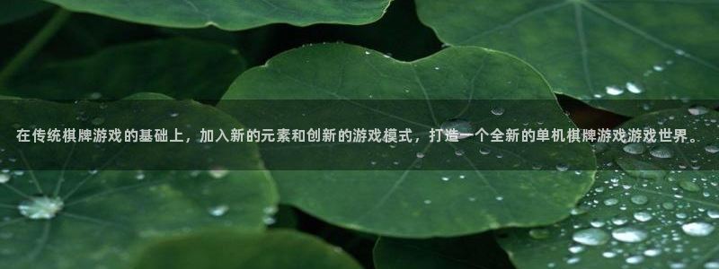 杏盛主管是谁