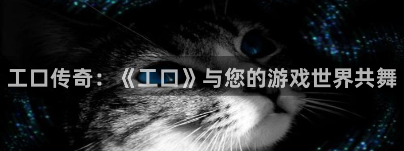 杏盛平台总代理