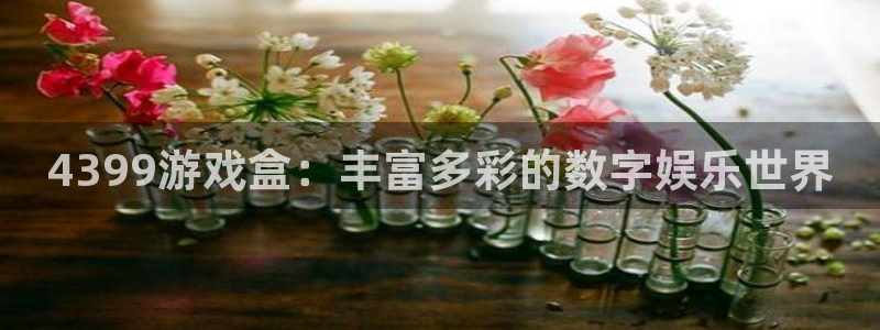 杏盛注册平台：4399游戏盒：丰富多彩的数字娱乐世界