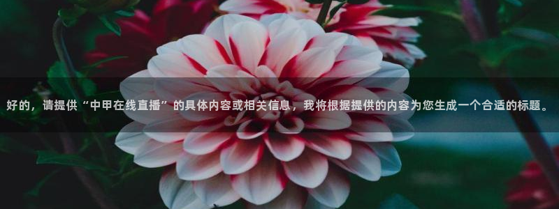 nba飞速直播nba：好的，请提供“中甲在线直播”的具体内容或相关信息，我将根据提供的内容为您生成一个合适的标题。
