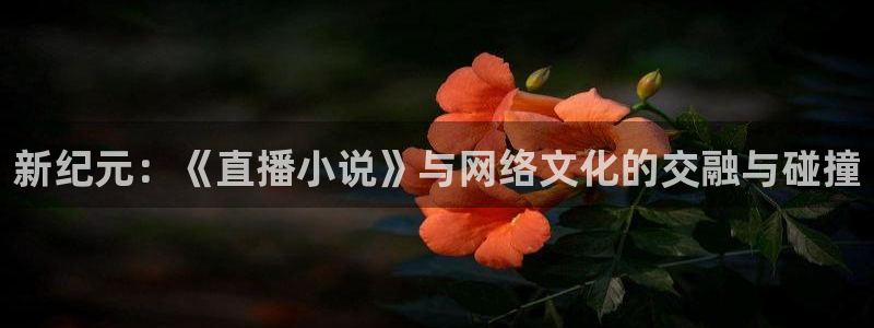 飞速体育直播nba高清：新纪元：《直播小说》与网络文化的交融与碰撞
