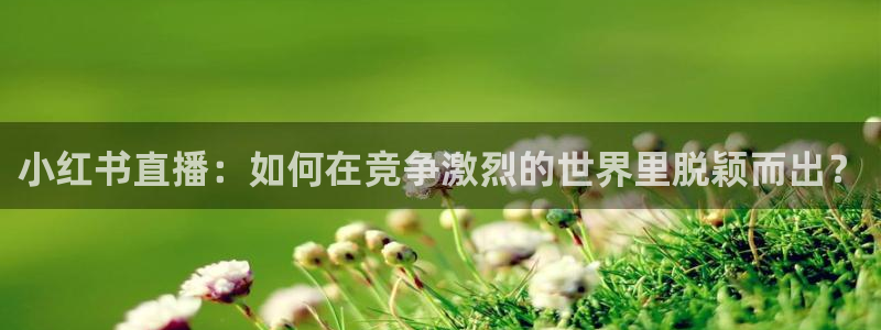 nba飞速视频直播：小红书直播：如何在竞争激烈的世界里脱颖而出？