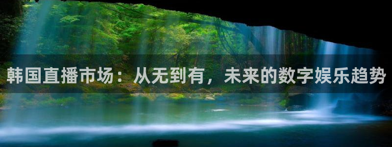 飞速直播篮球直播：韩国直播市场：从无到有，未来的数字娱乐趋势