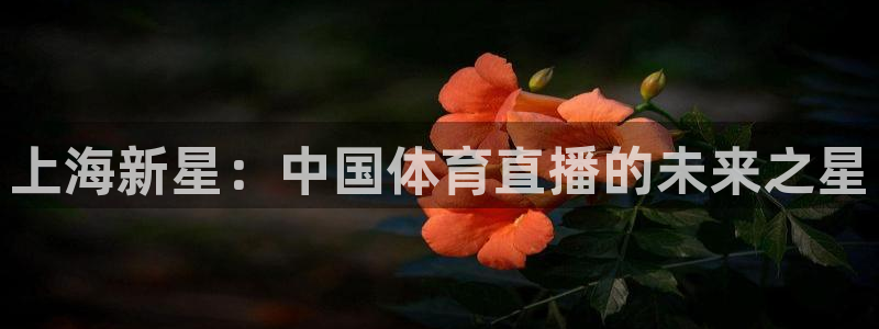 飞速直播体育无插件：上海新星：中国体育直播的未来之星