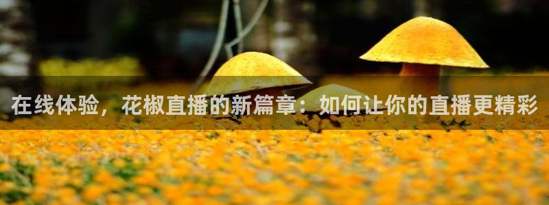 飞速足球直播：在线体验，花椒直播的新篇章：如何让你的直播更精彩