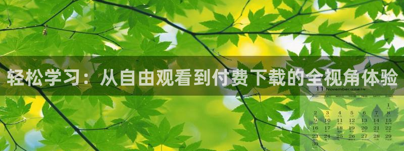 飞速直播体育在线直播nba：轻松学习：从自由观看到付费下载的全视角体验